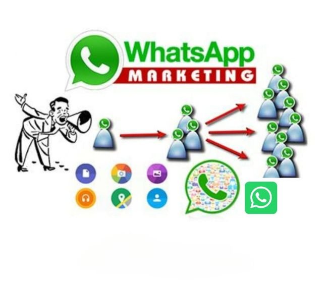WhatsApp Marketing at PixelGrow - Digital Marketing Experts